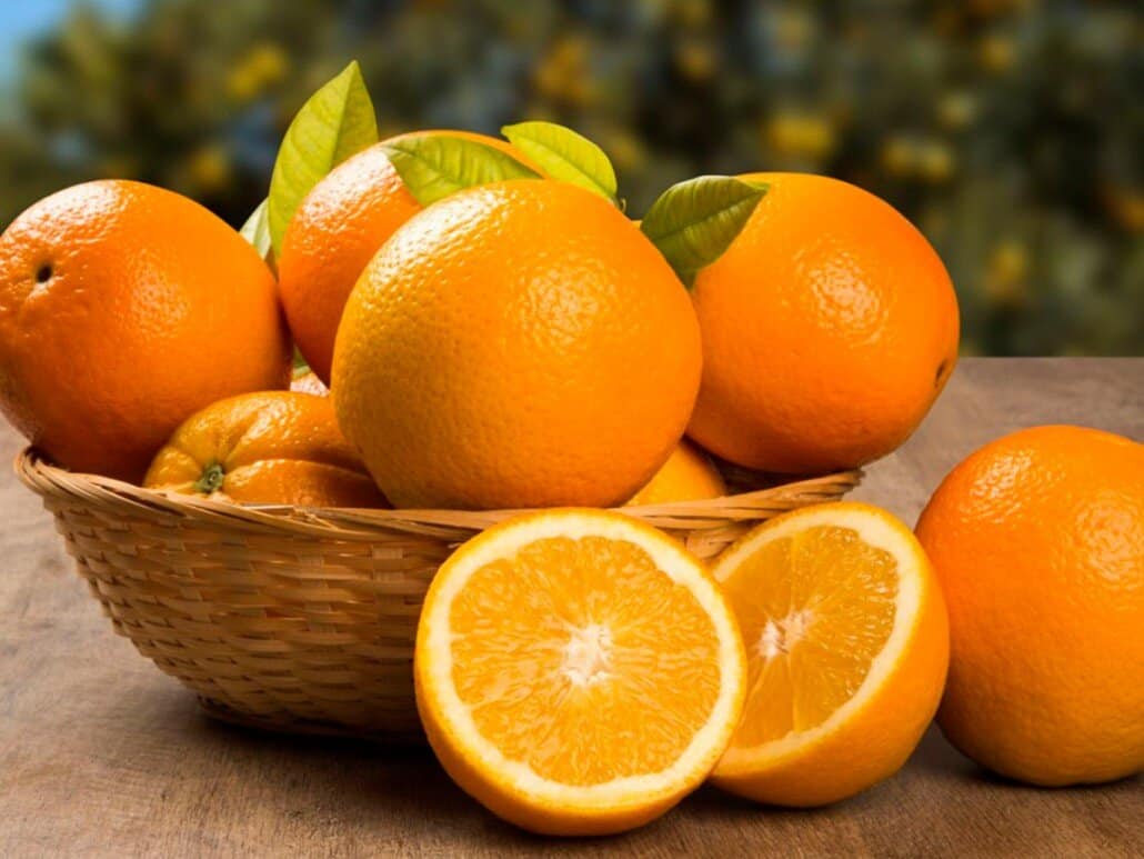 ფორთოხალი